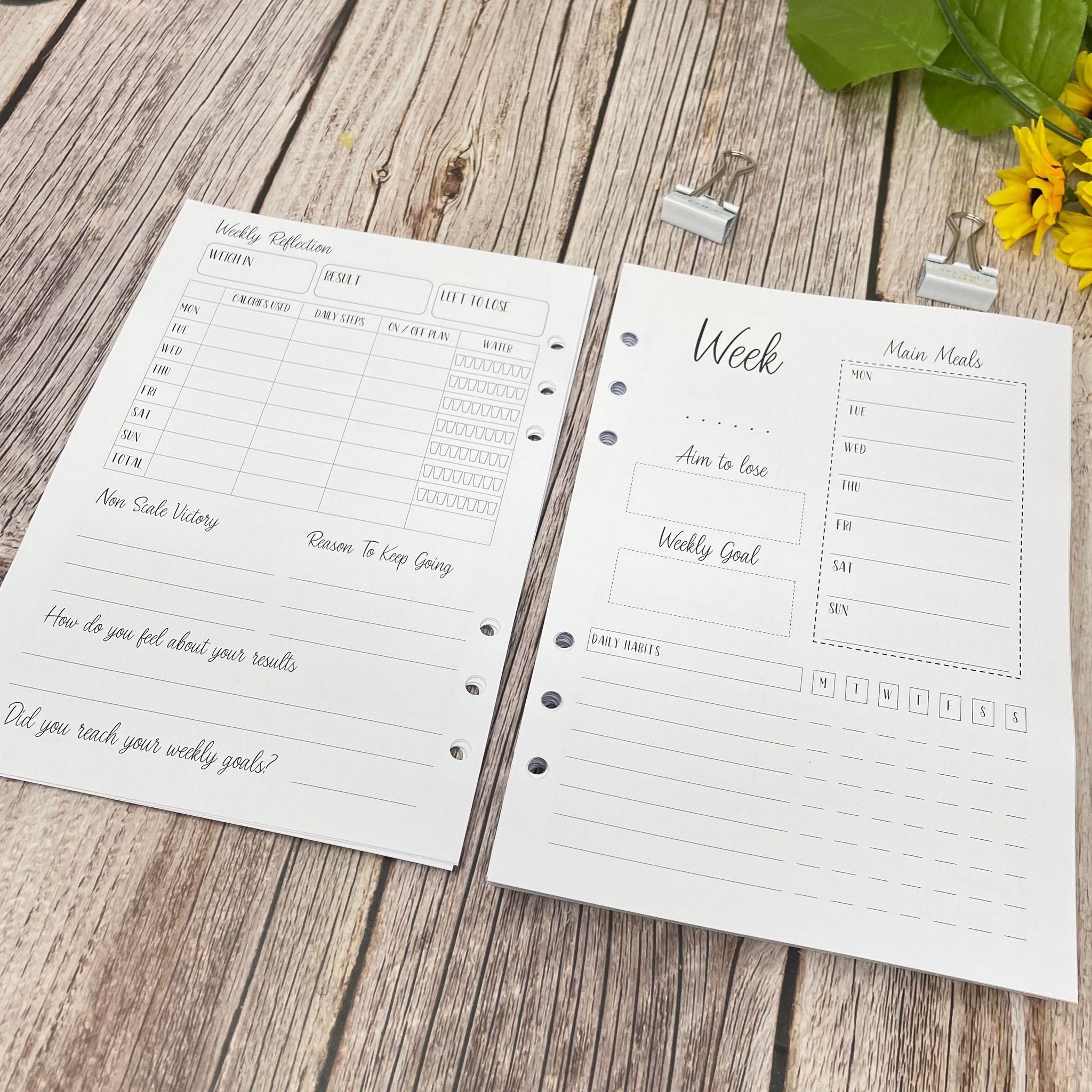 12 Month Food Diary Inserts-365 Chances+Bookmark - A5 Inserts