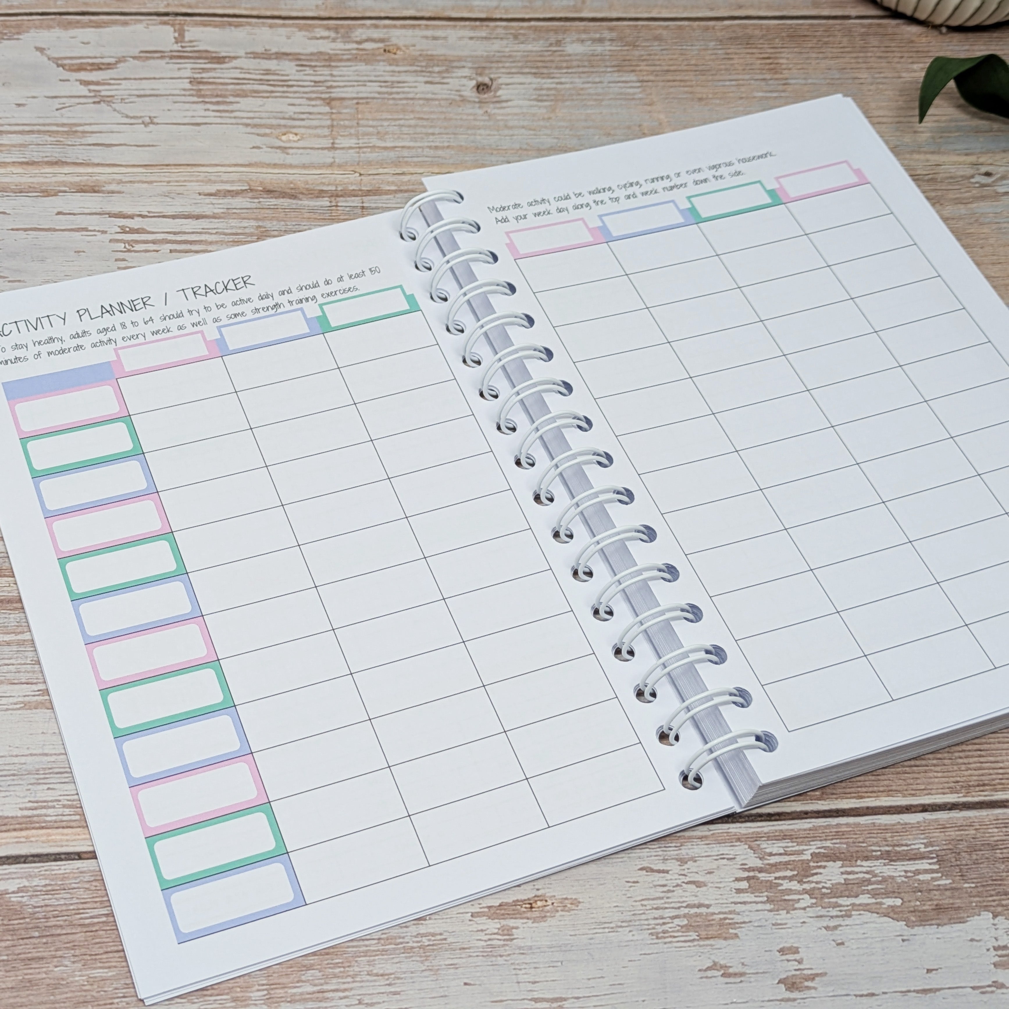 12 Week Wellness Journal - Pastel Self Care