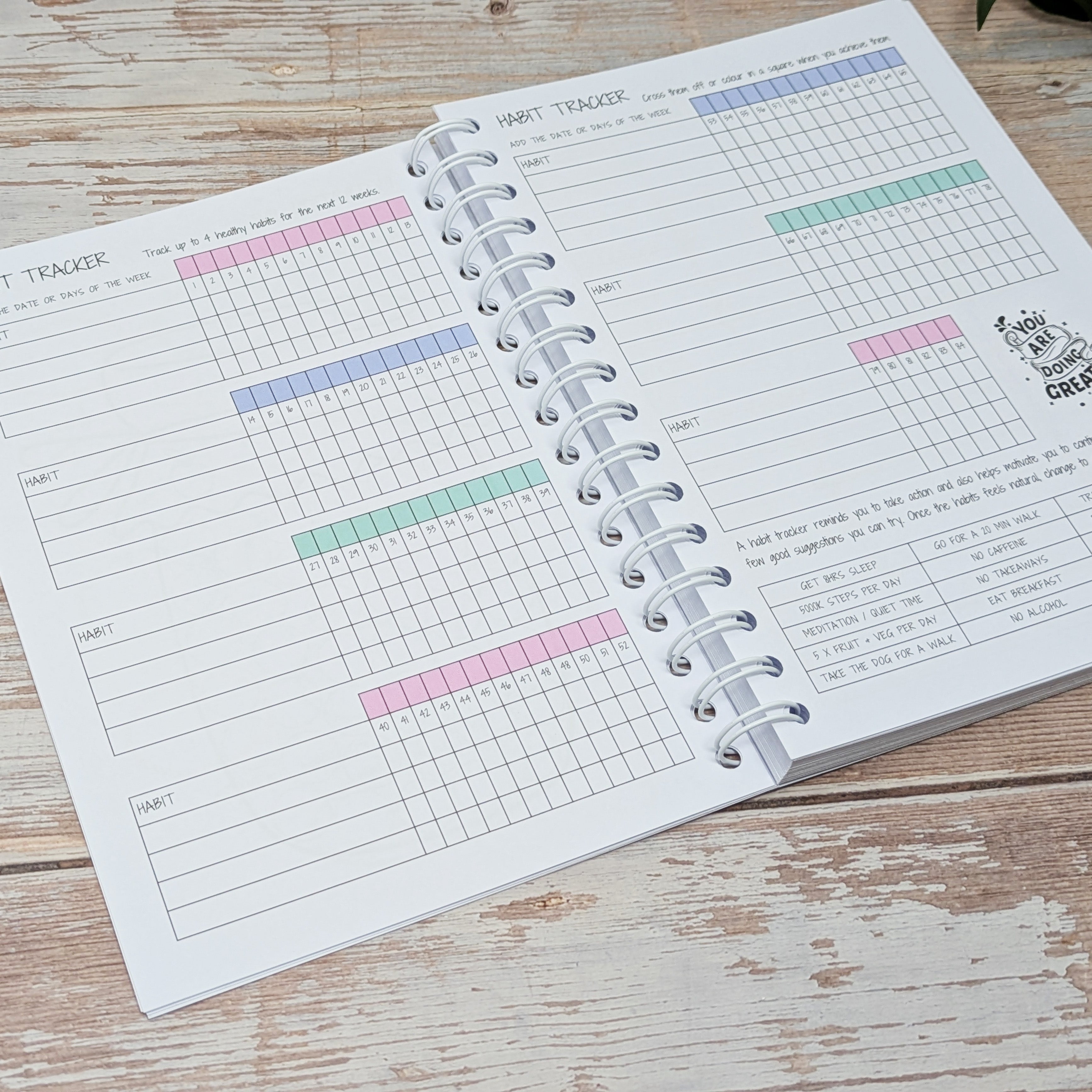 12 Week Wellness Journal - Pastel Self Care