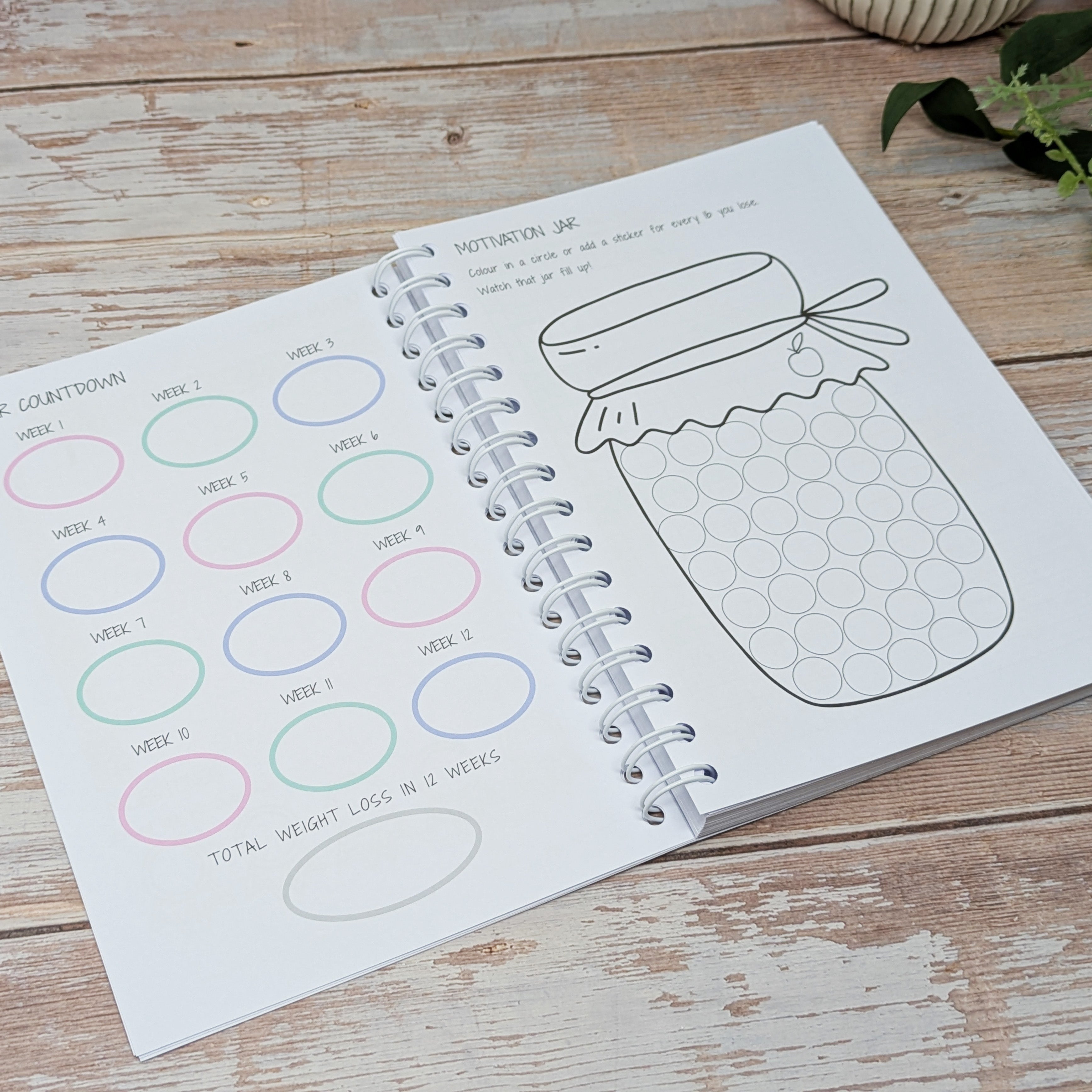 12 Week Wellness Journal - Pastel Self Care