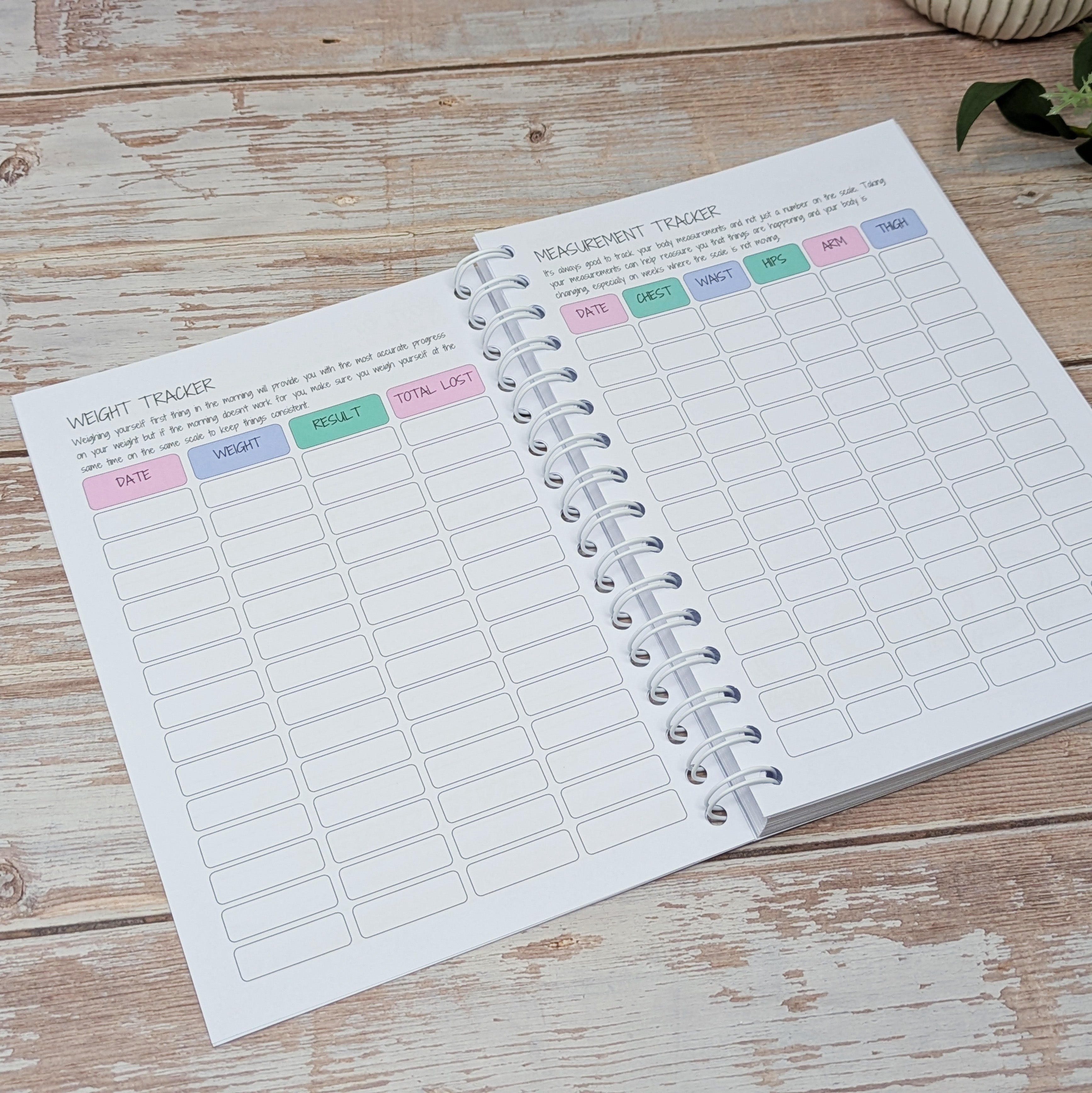 12 Week Wellness Journal - Pastel Self Care