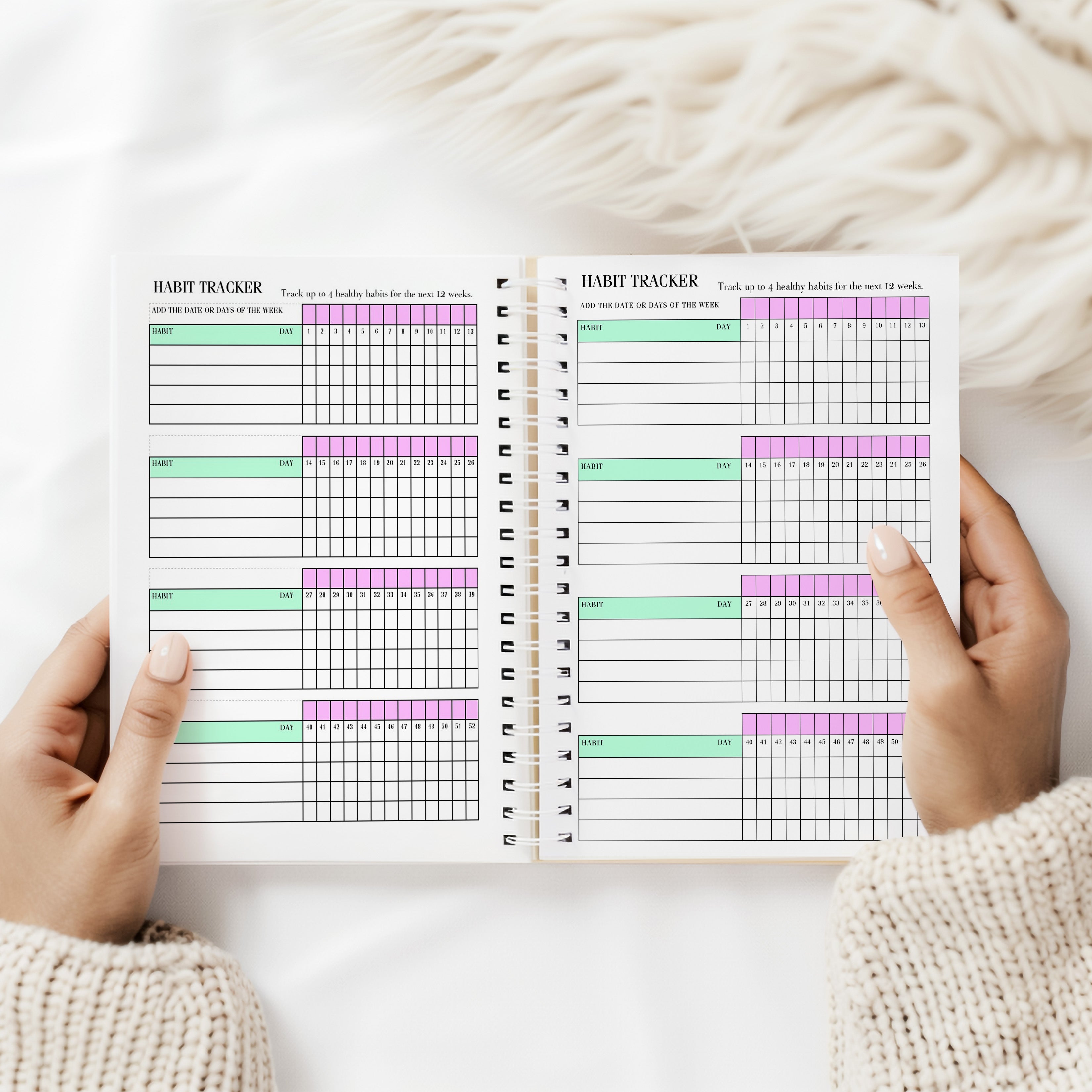 12 Week Wellness Journal - Spring Bike Ride