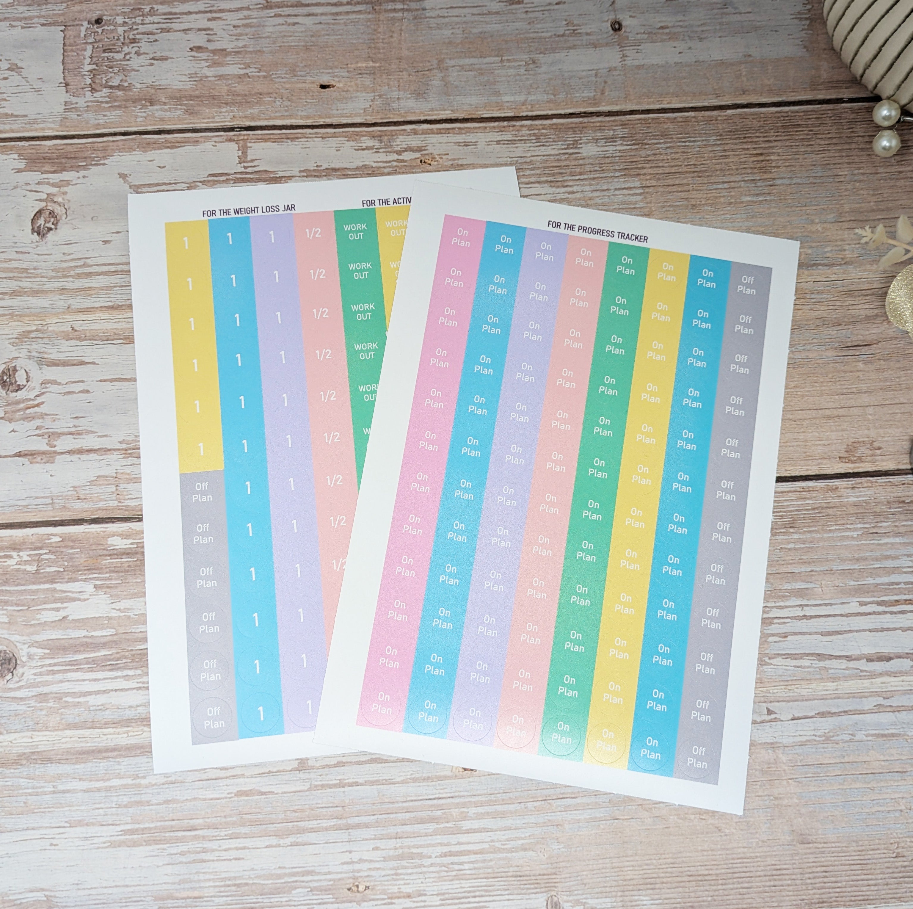 12 Week Wellness Journal - Spring Bike Ride