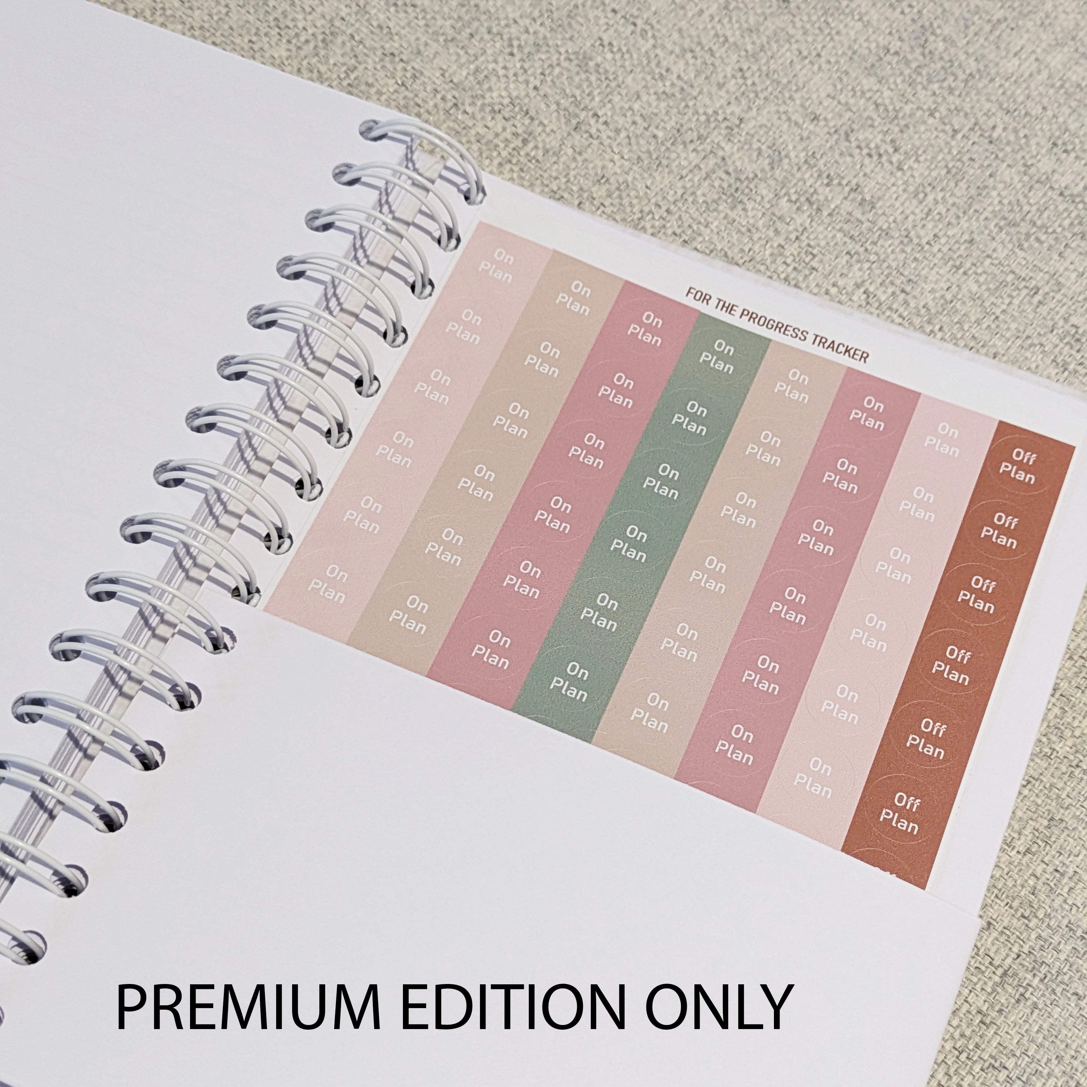 12 Week Wellness Journal - Linen