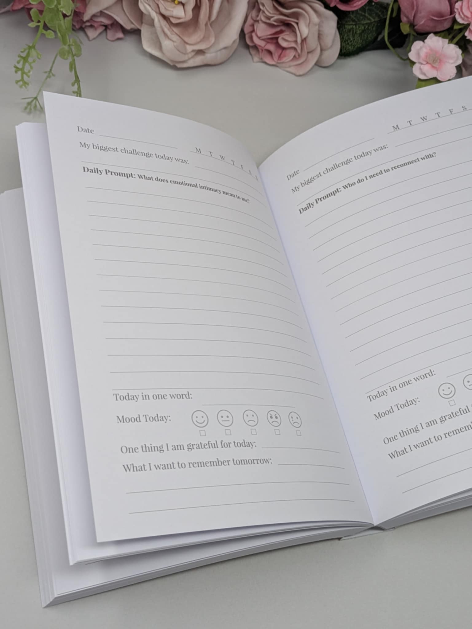 12 Month Self Reflection Journal Butterfly